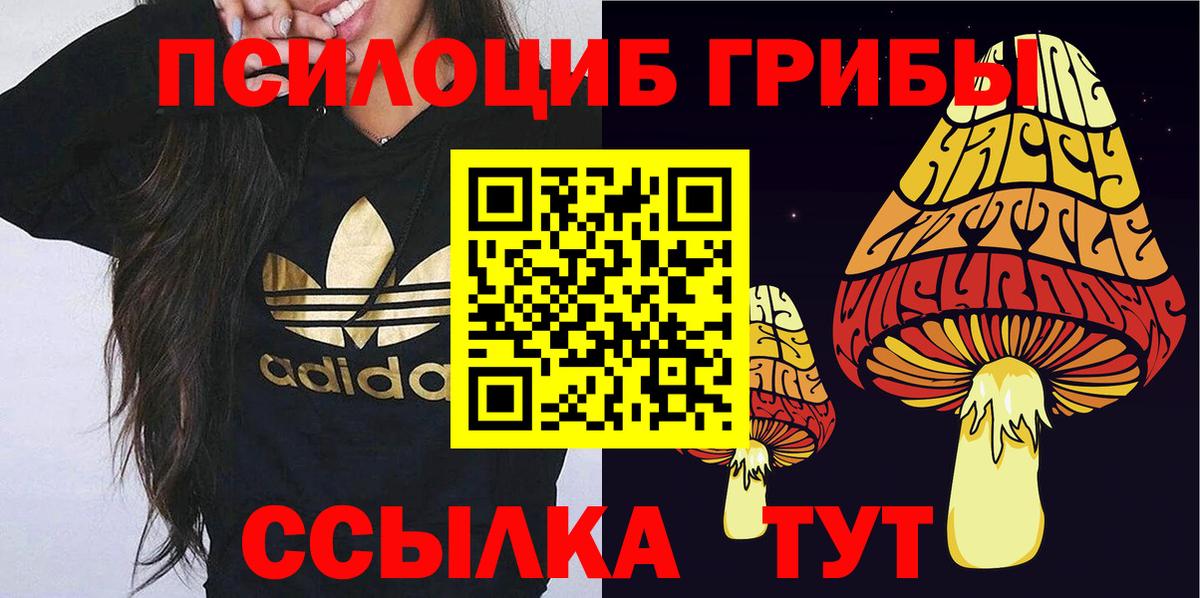Псилоцибиновые грибы MAGIC MUSHROOMS Еманжелинск